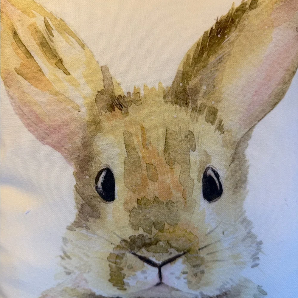Rabbit Bunny Screen Printed With Fuzzy Ball Tail 20